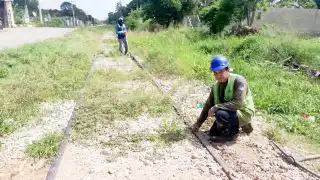 Foto: Néstor Cuevas