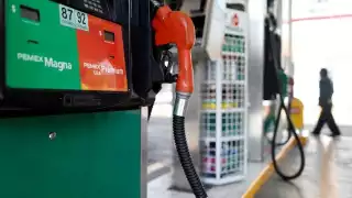 En total se realizaron 175 denuncias atendidas, de las cuales se realizaron 161 visitas