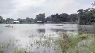 Foto: Fernando Kantún