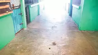 Los locatarios aseguran que los cuidados en los recintos se han minimizado.