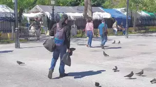 Campeche: IMSS reporta más de 800 empleos perdidos en diciembre