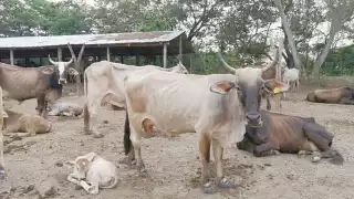 Foto: Julio Gutiérrez