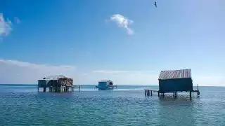 FOTO: Abraham Cohuó