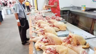 Foto: Fernando Kantún