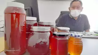 La Asociación de Apicultores de Champotón tiene 2 mil 700 afiliados. Foto: José Valencia