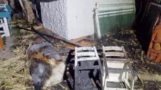 Se incendia local en el área de cocteleros en Campeche