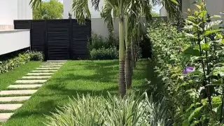 Te encantaran estas plantas para adornar tu casa. Conócelas