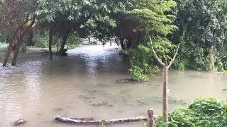 Foto: Julio Gutiérrez