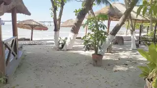 El camino hecho con tablas presenta separaciones en las que los bastones y las sillas de ruedas pueden atorarse.