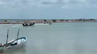 Pesca ilegal hunde la producción en Campeche: 7 de 9 especies en crisis por falta de vigilancia