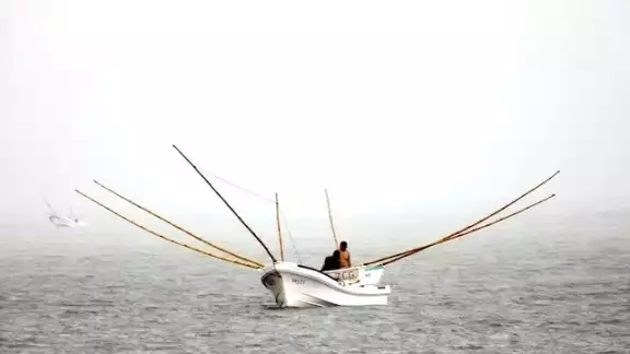 En la Península de Yucatán es el único lugar donde se usa el gareteo usando carnada (cangrejos, jaibas) para la captura de pulpo. Foto: Jorge Aké En la Península de Yucatán es el único lugar donde se usa el gareteo usando carnada (cangrejos, jaibas) para la captura de pulpo. Foto: Jorge Aké