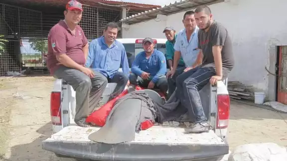 Foto: J. Gutiérrez