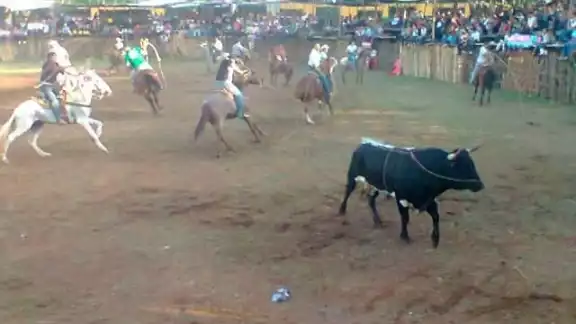 Tekaxeños dicen que mucha gente vive de la fiesta brava Tekaxeños dicen que mucha gente vive de la fiesta brava