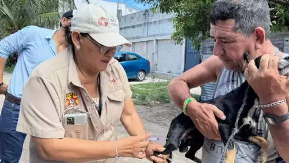 Campeche realiza este 25 de agosto una jornada intensiva de vacunación antirrábica gratuita. Campeche realiza este 25 de agosto una jornada intensiva de vacunación antirrábica gratuita.