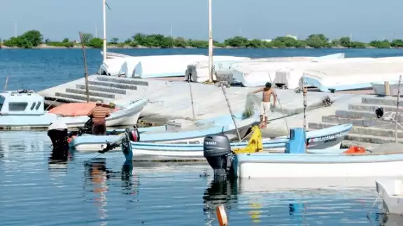 De los marcados con rojo, 16 son de Campeche, seis de Q. Roo y uno de Yucatán