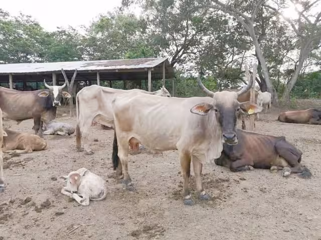 Foto: Julio Gutiérrez