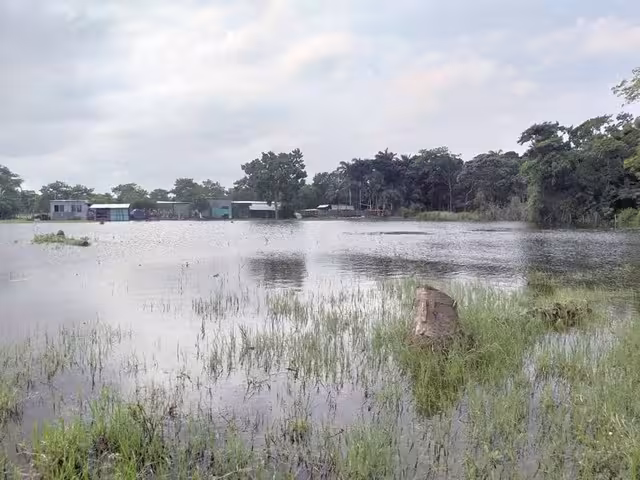 Foto: Fernando Kantún