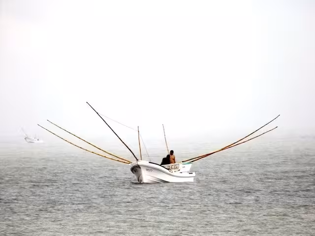 En la Península de Yucatán es el único lugar donde se usa el gareteo usando carnada (cangrejos, jaibas) para la captura de pulpo. Foto: Jorge Aké