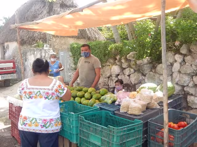Foto: José Luís López Quintal