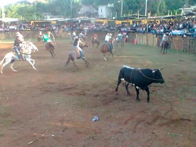 Tekaxeños dicen que mucha gente vive de la fiesta brava