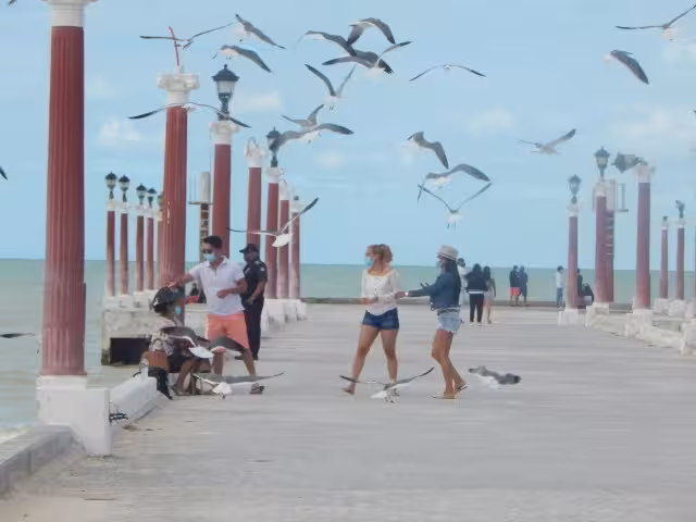 Foto: José Luis López Quintal