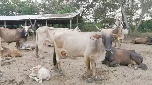 Foto: Julio Gutiérrez