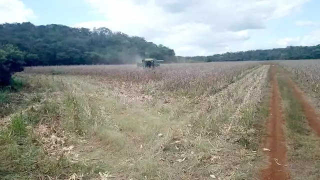 En Xmabén, grupos de menonitas “compraron” tierras ejidales desde 1990 y pese a las denuncias de los ejidatarios, fueron ignorados