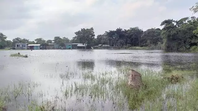 Foto: Fernando Kantún