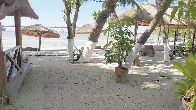 El camino hecho con tablas presenta separaciones en las que los bastones y las sillas de ruedas pueden atorarse.