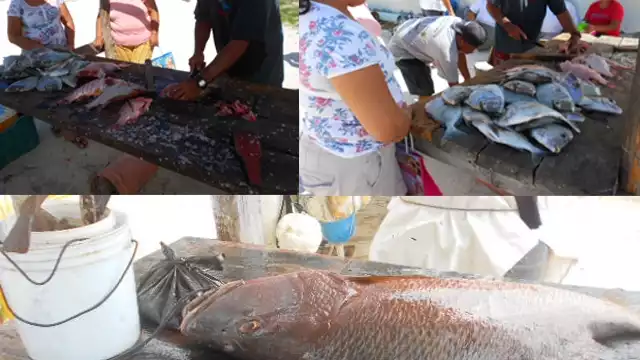 El abasto foráneo encareció los precios hasta un 80%.