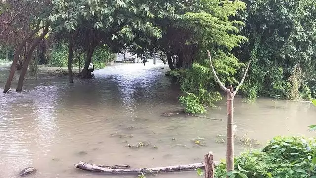 Foto: Julio Gutiérrez