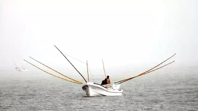 En la Península de Yucatán es el único lugar donde se usa el gareteo usando carnada (cangrejos, jaibas) para la captura de pulpo. Foto: Jorge Aké