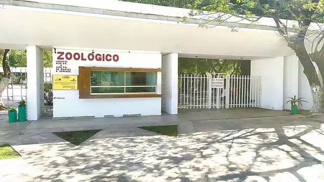 Pese a las promesas de la alcaldía de hacer funcionar de nuevo el lugar, obstáculos materiales, económicos y legales no lo harían posible.