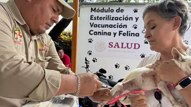 Este miércoles 13 de agosto se realiza una jornada gratuita de vacunación antirrábica en Campeche.