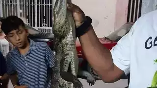 Algunas personas mostraron su descontento por la muerte de reptil