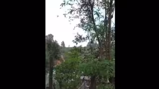 Los pobladores de la comunidad señalaron que el grupo armado de la Familia Michoacana fue el responsable