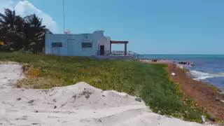 Profepa clausura predio en Chabihau por devastar más de 669 metros cuadrados de duna costera