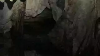 Descubren caverna en zona de desarrollo en Playa del Carmen