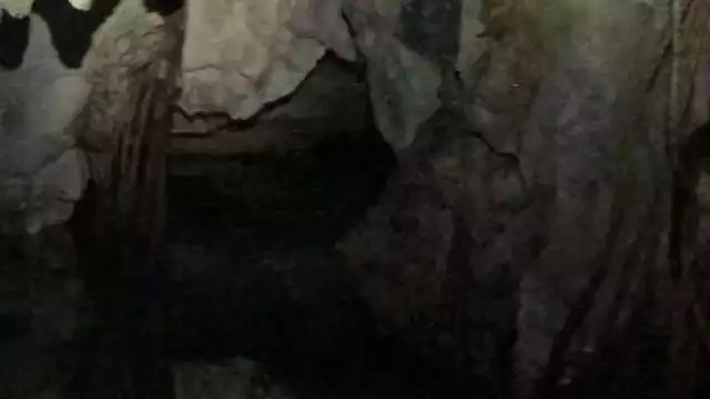 El Círculo Espeleológico del Mayab encontró esta caverna durante trabajo del proyecto 'Cenotes Urbanos' en Playa del Carmen