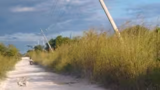 Peligro en Candelaria: Carretera destrozada y postes de CFE a punto de caer en Campo La Olla