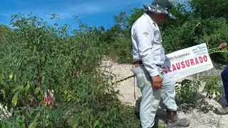 Más de 994 hectáreas afectadas por actividades ilegales en selvas y reservas