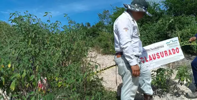 Más de 994 hectáreas afectadas por actividades ilegales en selvas y reservas