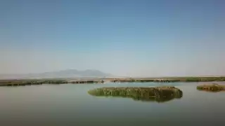 Parque Ecológico Lago de Texcoco contribuye a la protección de más de 300 hectáreas