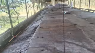 Profepa vacía granja porcícola en Santa María Chi; en próximos días presentarán estudio de daño ambiental y acciones correctivas