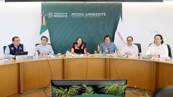 Las acciones se ubican en tres ejes: soluciones basadas en la naturaleza, transporte bajo en carbono y regulación y fomento industrial Las acciones se ubican en tres ejes: soluciones basadas en la naturaleza, transporte bajo en carbono y regulación y fomento industrial