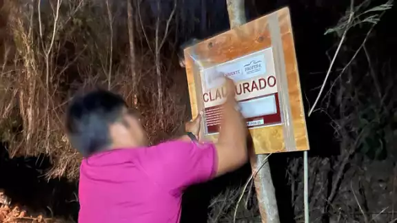 La Profepa clausuró los dos predios en Cuxtal como medida preventiva La Profepa clausuró los dos predios en Cuxtal como medida preventiva