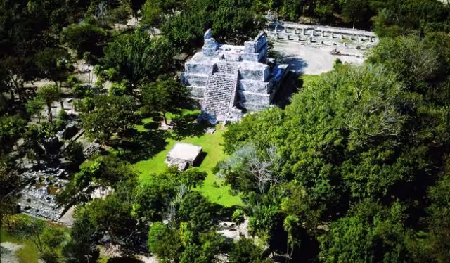 Desde los 18 años ingresó a la Fuerza Aérea Mexicana, donde estudió y más tarde comenzó a volar civilmente; en 10 años se visualiza como Capitán.