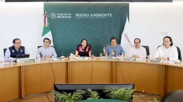 Las acciones se ubican en tres ejes: soluciones basadas en la naturaleza, transporte bajo en carbono y regulación y fomento industrial