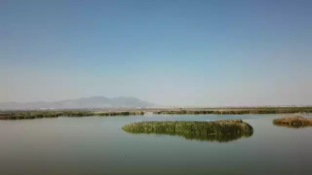 Parque Ecológico Lago de Texcoco contribuye a la protección de más de 300 hectáreas