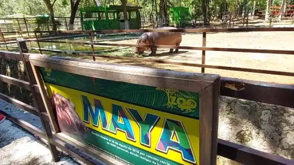 El Jardín Zoológico Payo Obispo